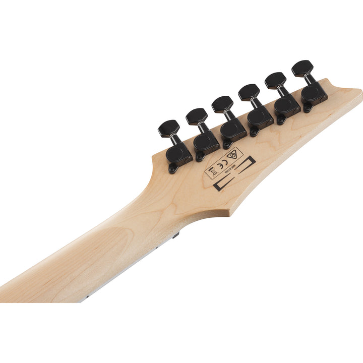 Ibanez GIO RG Electric Guitar