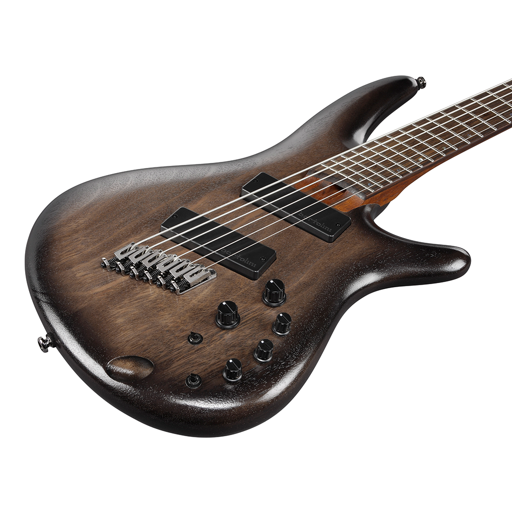 Ibanez SR Bass Workshop 6-String Bass (Black Stained Burst Low Gloss) SRC6MSBLL