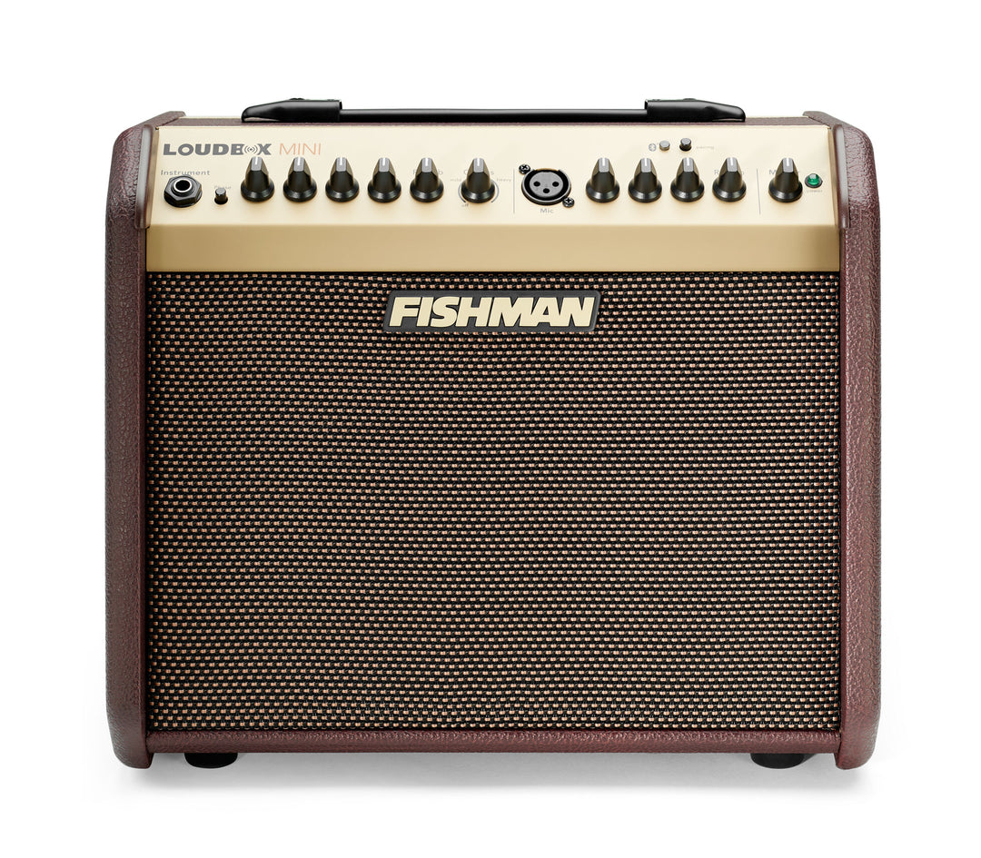 Fishman PRO-LBT-500 Loudbox Mini - 60 watts
