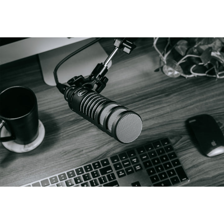 512 Audio LIMELIGHT Dynamic Vocal XLR Recording Microphone