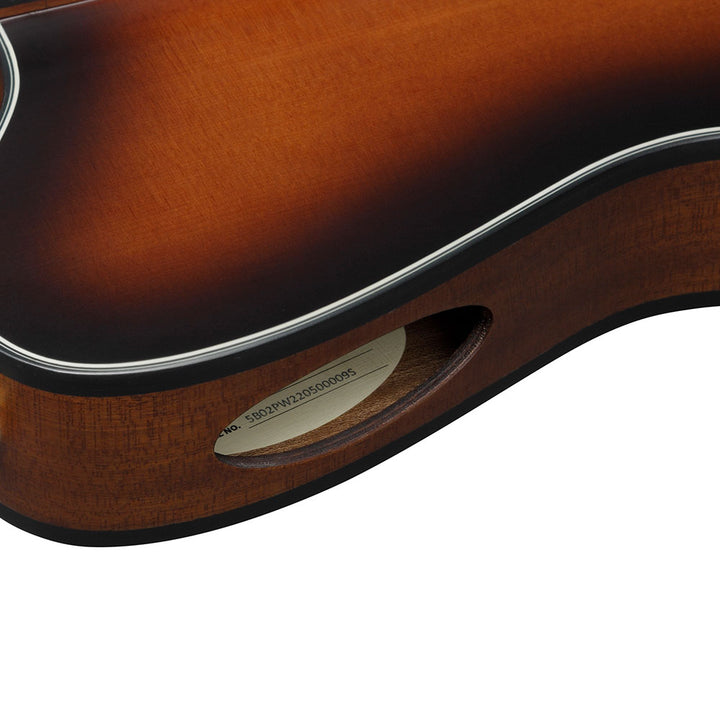 Ibanez Acoustic-Electric (Brown Sunburst Flat) FRH10N