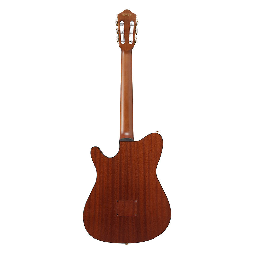Ibanez Acoustic-Electric (Brown Sunburst Flat) FRH10N