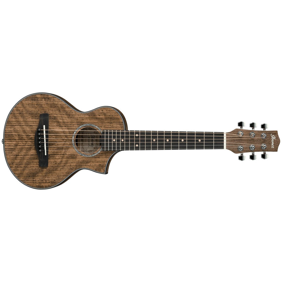 Ibanez EWP14 Acoustic Guitar - Open Pore Natural