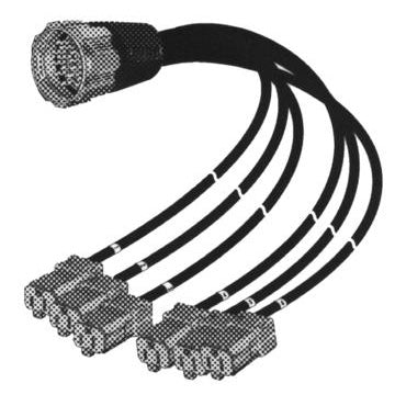 Digiflex LX LSS-SU-1403-6 - 6 Foot Socapex Male to 6 x U Ground - 14 AWG