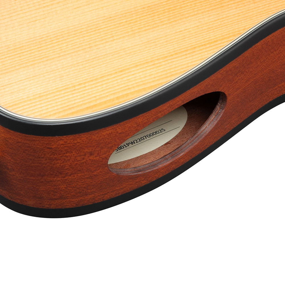 Ibanez Acoustic-Electric (Natural Flat) FRH10N