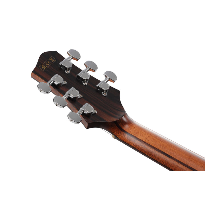 Ibanez Acoustic-Electric (Natural Satin Top, Natural Low Gloss)  PA300E