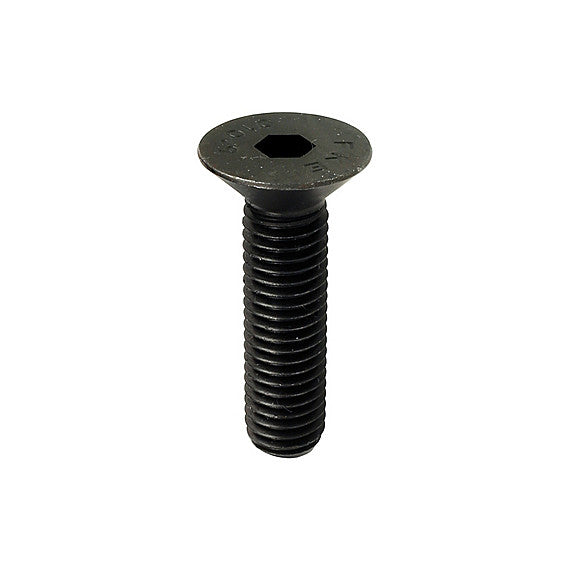 The Light Source - M10 x 40mm Flat Head Socket, Plain Alloy