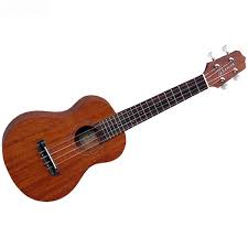 Takamine GU-S1