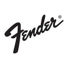 Fender Acoustic Junior Go