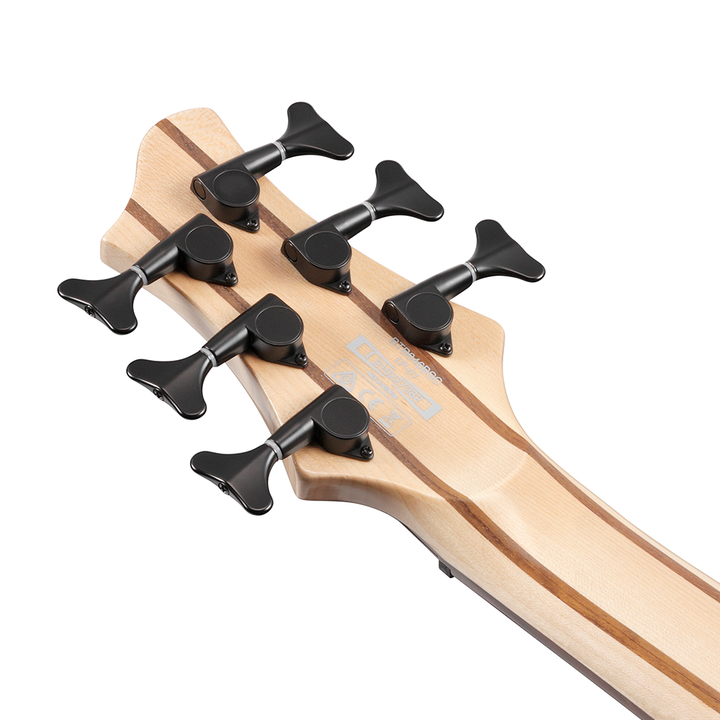Ibanez BTB Bass Workshop 6-String Bass (Weathered Black Low Gloss)  BTB866SCWKL