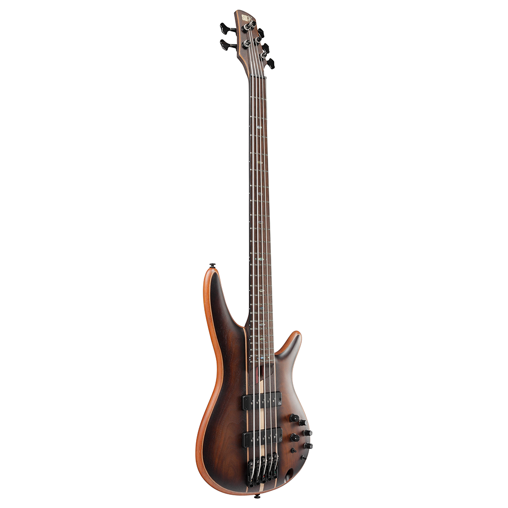 Ibanez SR Premium 5-String Electric Bass (Dual Mocha Burst Flat) SR1355BDUF