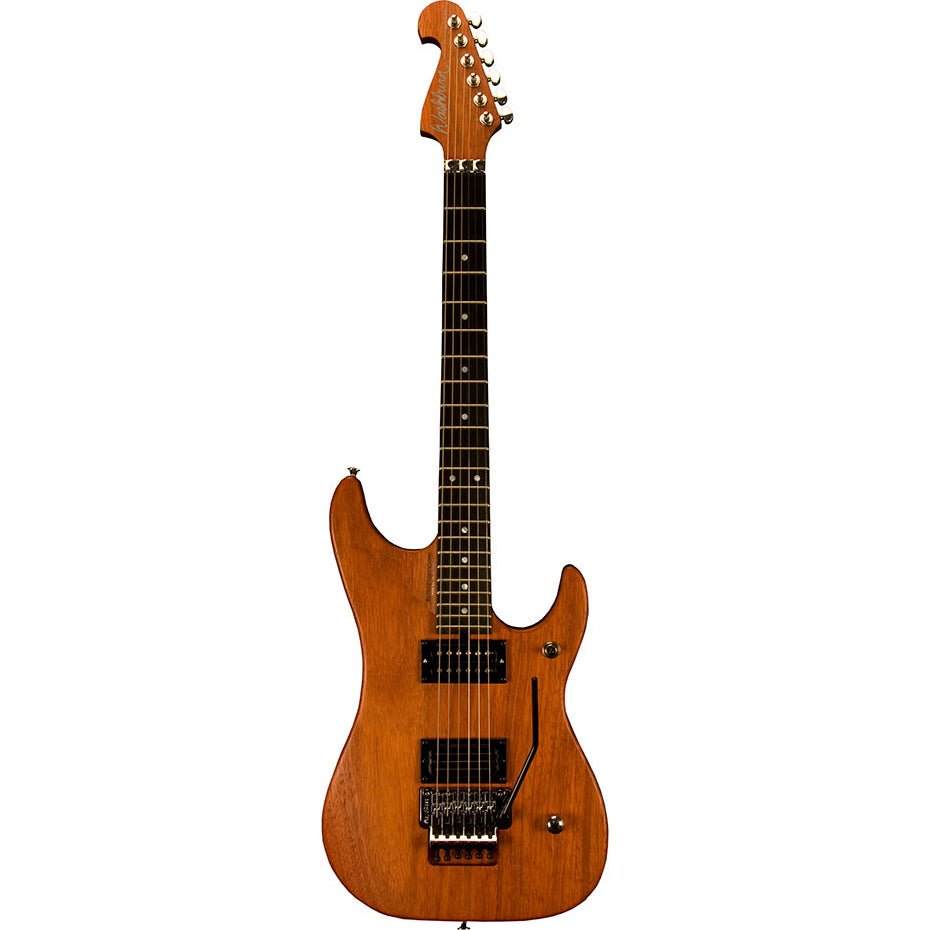 Washburn N4EPNM-D Nuno