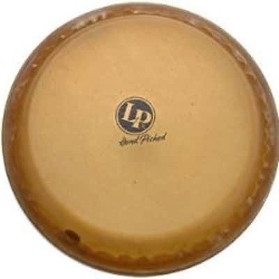 LP LP265D - 9” Mounted Conga Head