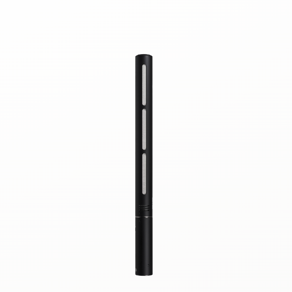 Audio-Technica BP28 Line + Gradient Large-Diaphragm Condenser Microphone