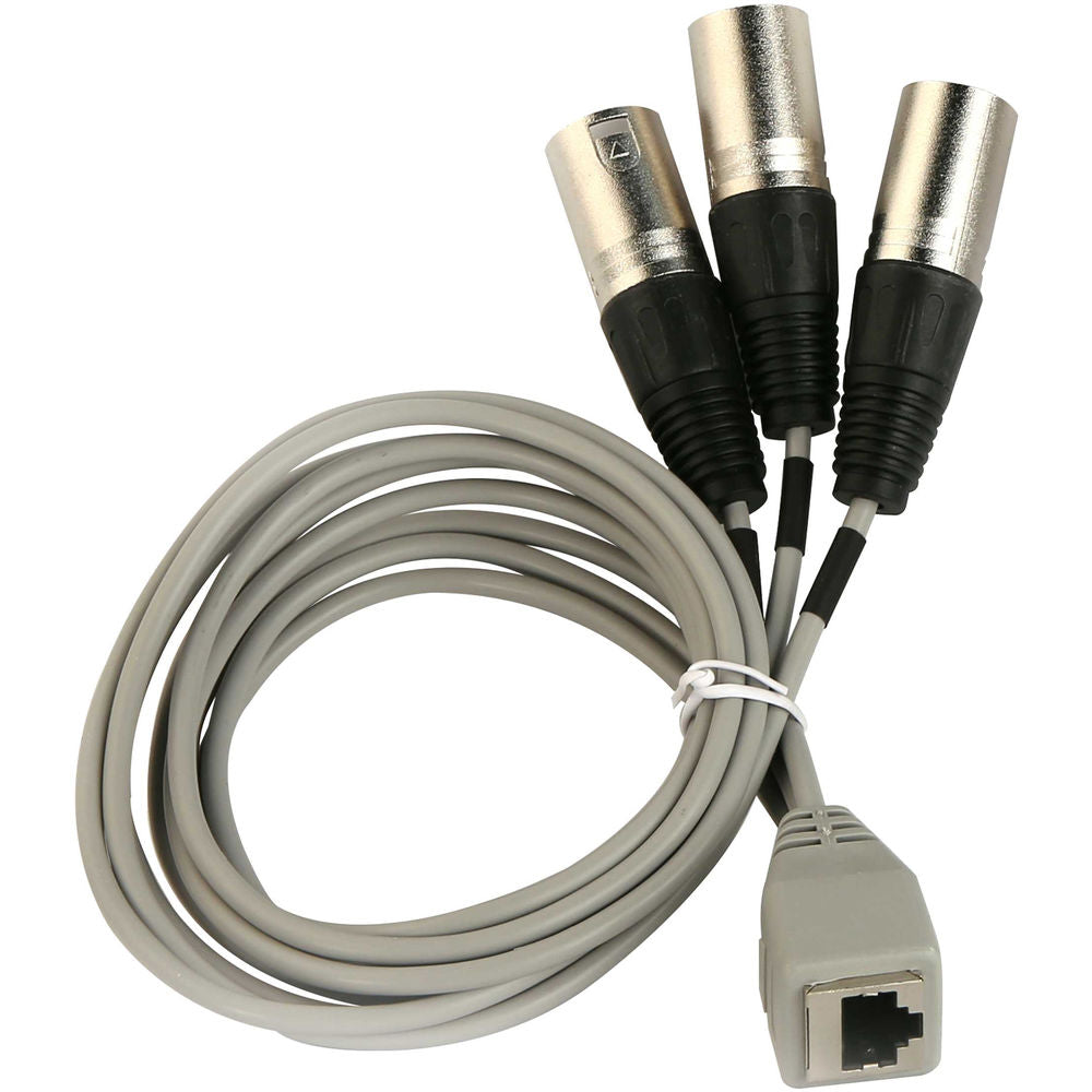 Audix CBLM3XLR Breakout Cable for M3 Microphone (RJ45 Female to 3x XLRM)