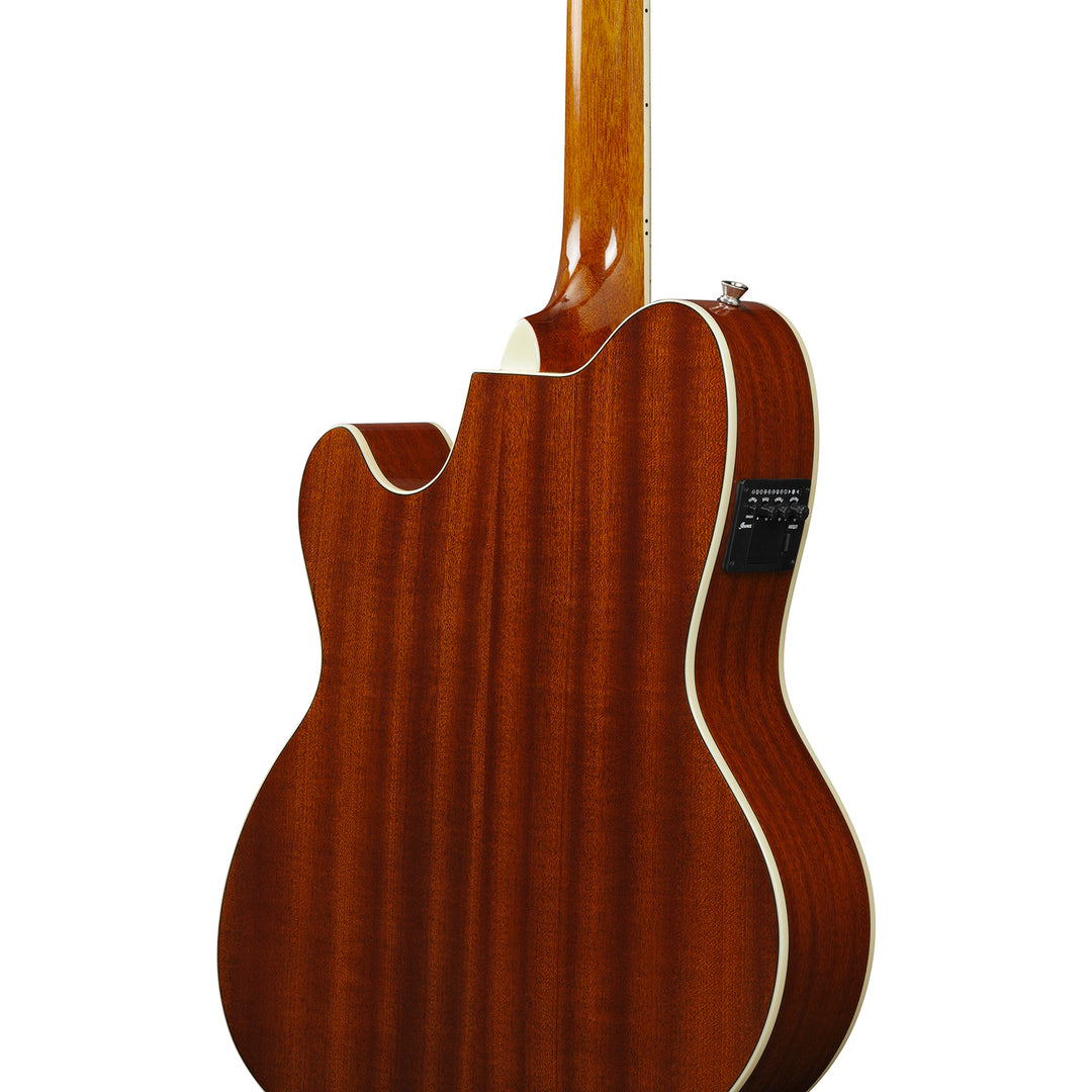 Ibanez Acoustic-Electric (Sea Foam Green) TCY10E