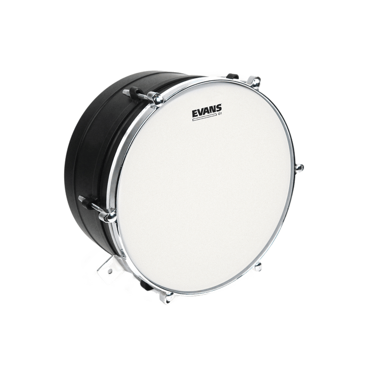 Evans B12G1 12'' G1 Coated Timbale/Snare/Tom/Timbale