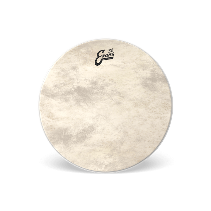 Evans BD20GB4CT - 20'' EQ4 CALFTONE