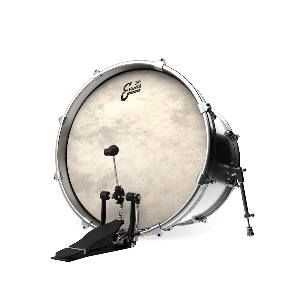 Evans BD20GB4CT - 20'' EQ4 CALFTONE