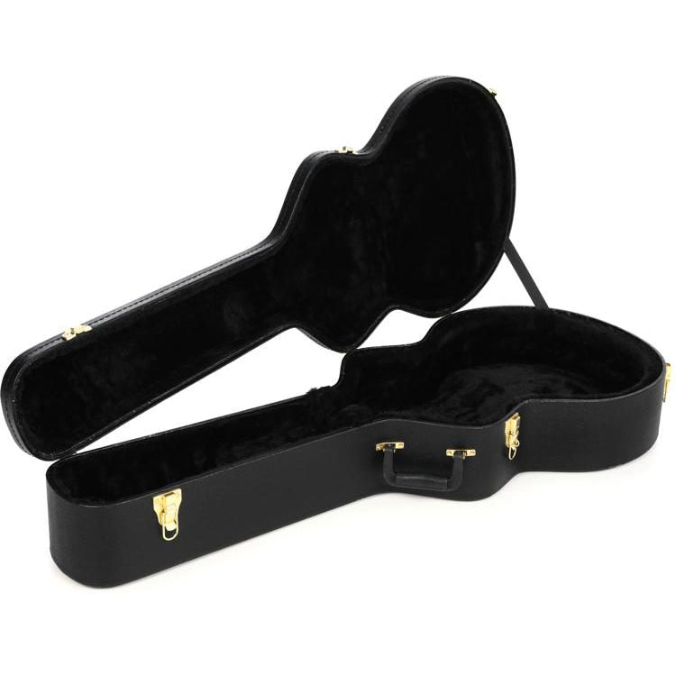 Ibanez AEL50C Acoustic Guitar Case for AEL, EW, JSA, AEW