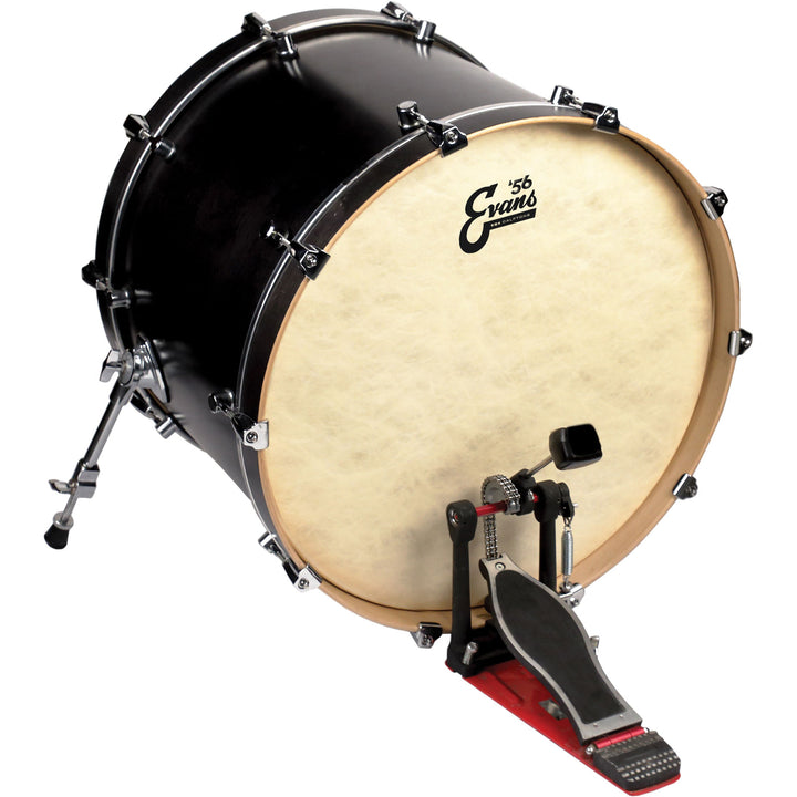 Evans BD20GB4CT - 20'' EQ4 CALFTONE
