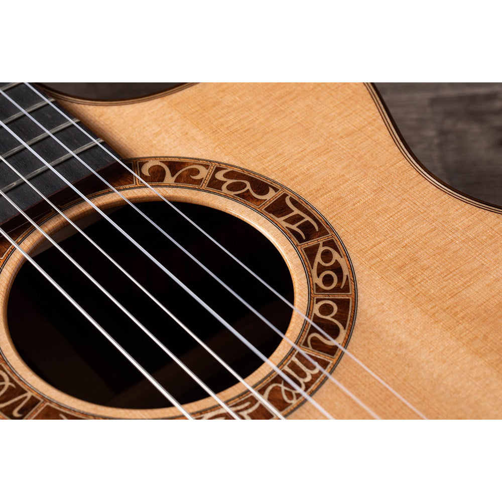 Taylor Guitars Jason Mraz Signature Model (JMSM), Indian Rosewood Back and Sides, West African Crelicam Ebony Fretboard, ES-N ® Electronics, Soft Cutaway with Taylor Deluxe Hardshell Brown Case
