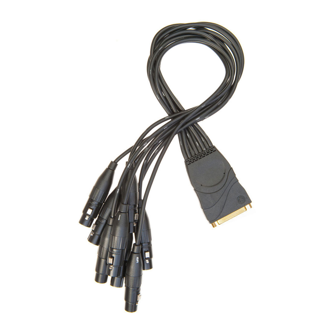 D'Addario PW-XLRFB-01 - DB25-XLR FEMALE