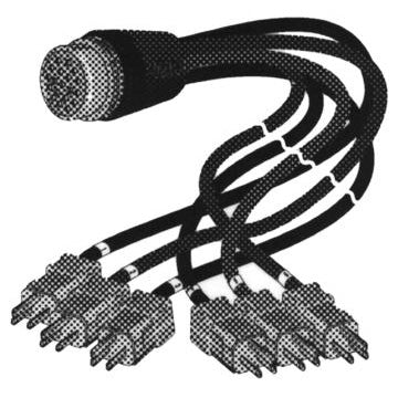 Digiflex LX LSS-US-1403-6 - 6 Foot Socapex Female to 6 x U Ground - 14 AWG