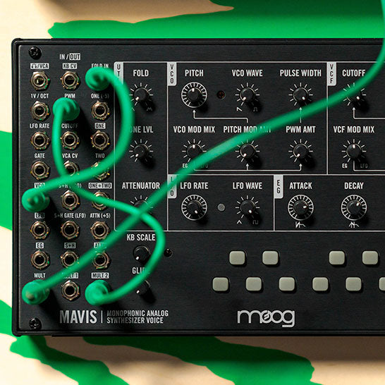 Moog Mavis DIY analog synth kit – Music City Canada