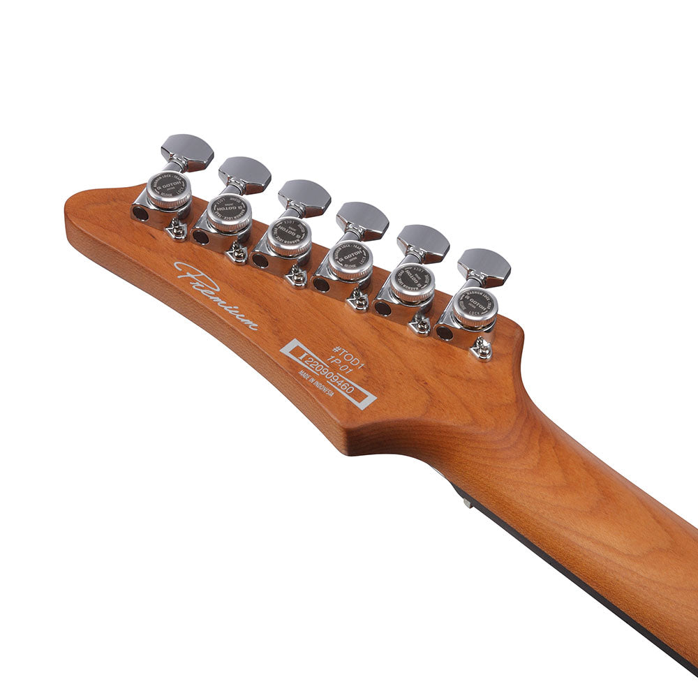 Ibanez Tim Henson Signature (Silver) TOD10