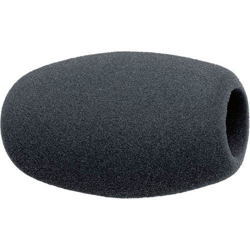 Sennheiser MZW 1