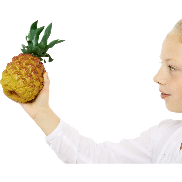 Nino Percussion NINO595- Nino Fruit and Vegetable Shaker- Pineapple