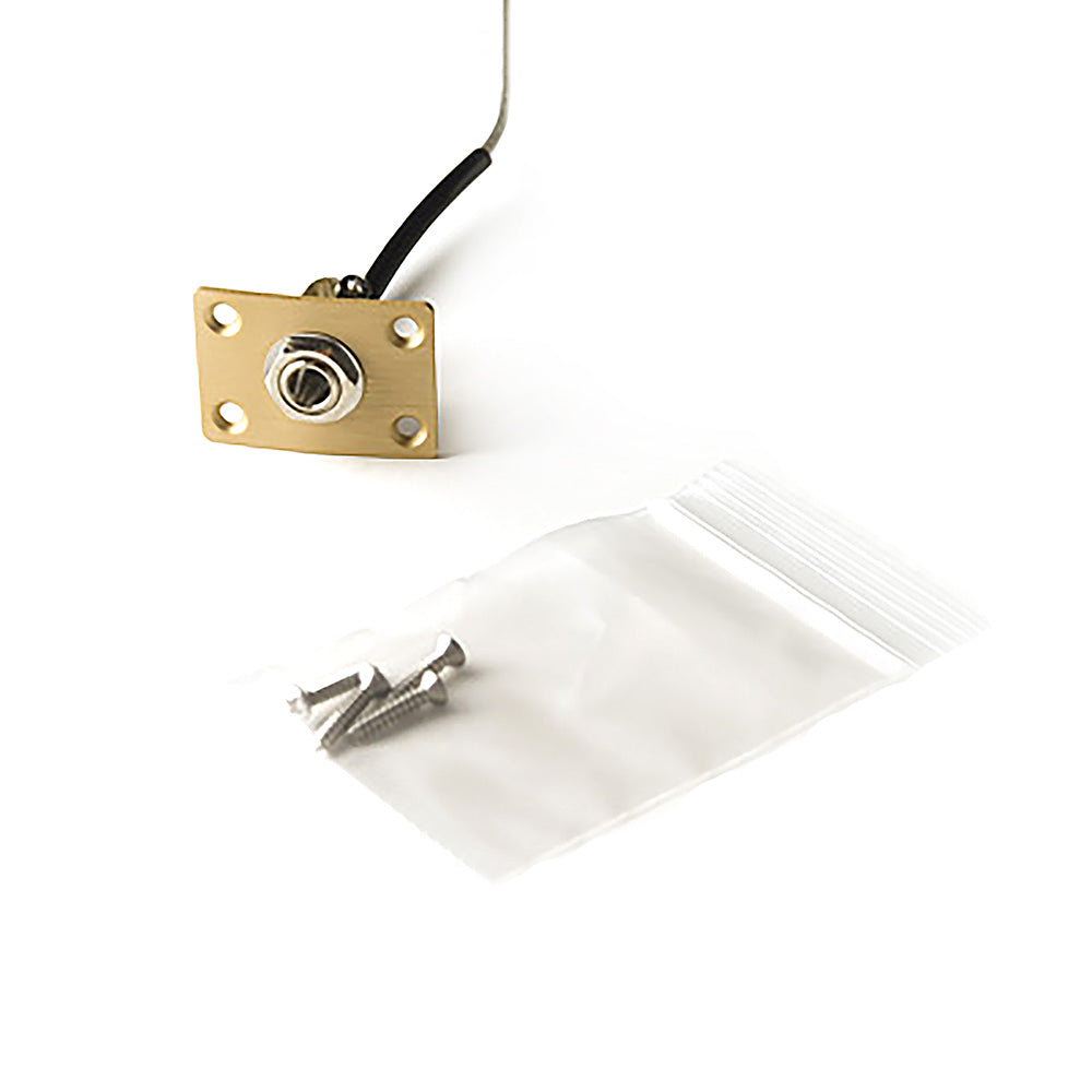 PRS Output Jack for Guitar - Gold / Hybrid
