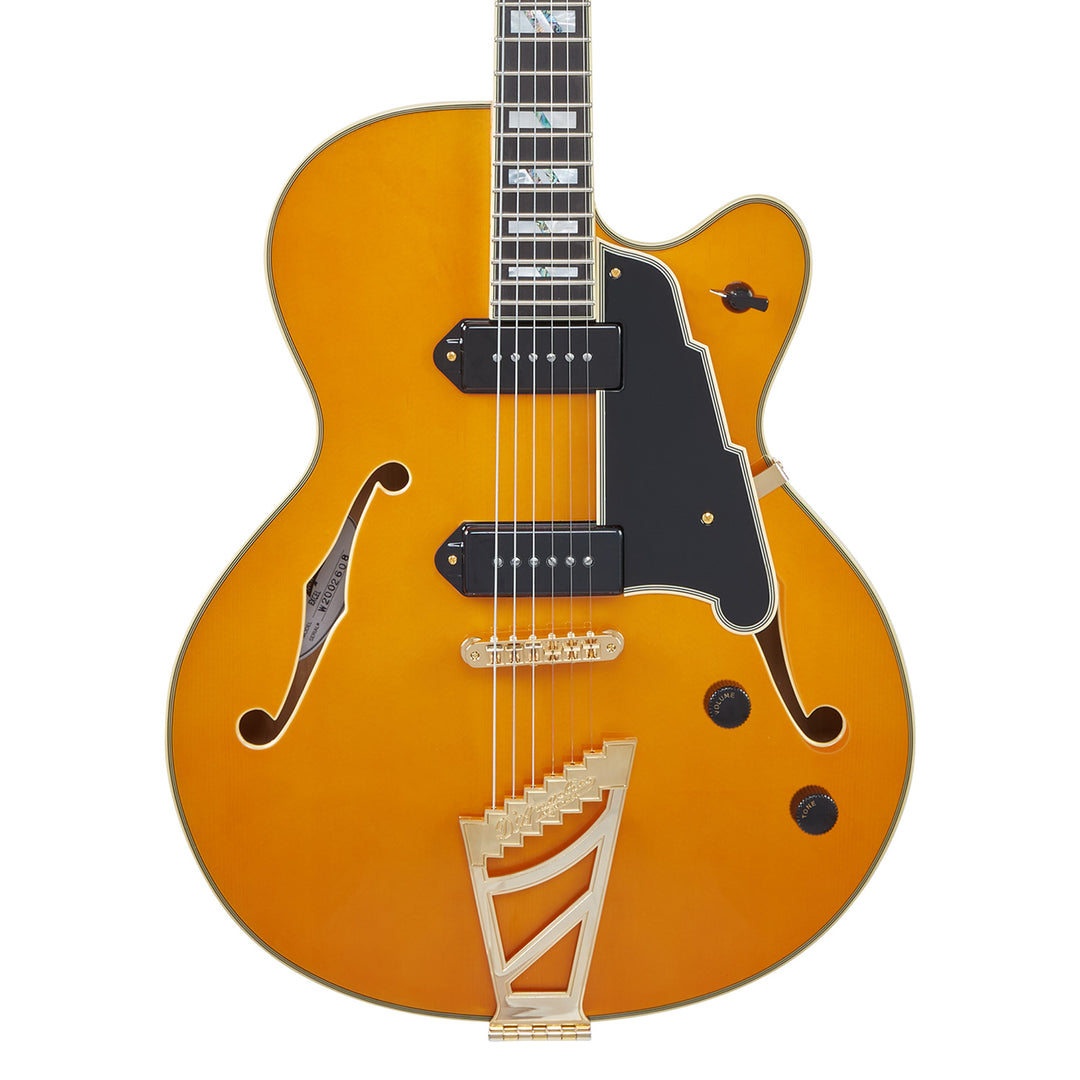 D’Angelico Excel 59 Electric Guitar